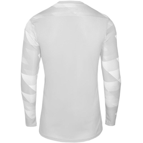 Koszulka Nike Dry Park IV M CJ6066-052 XL Koszulka Nike Dry Park IV M CJ6066-052 XL