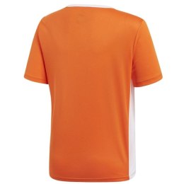 Koszulka adidas Entrada 18 JSY Y Jr CF1043 140 cm