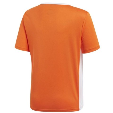 Koszulka adidas Entrada 18 JSY Y Jr CF1043 140 cm Koszulka adidas Entrada 18 JSY Y Jr CF1043 140 cm