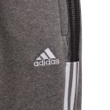 Spodnie adidas Tiro 21 Sweat Jr GP8809 152cm
