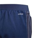 Spodnie adidas Tiro 21 Training Jr GK9659 152cm