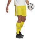 Spodenki adidas Squadra 21 Short M GN5772 XS