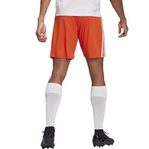 Spodenki adidas Squadra 21 Short M GN8084 L Spodenki adidas Squadra 21 Short M GN8084 L