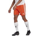 Spodenki adidas Squadra 21 Short M GN8084 XL