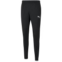 Spodnie Puma teamRISE Poly Training M 657390 03 M