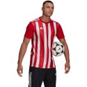 Koszulka adidas Striped 21 Jersey M GN7624 S