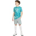 Spodenki Nike NK Df Academy Shrt Wp Gx Jr CV1469 019 XS