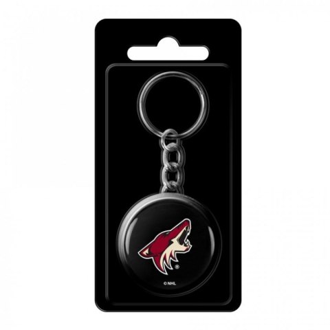 Brelok Inglasco NHL 550AN000136 Dallas Stars Brelok Inglasco NHL 550AN000136 Dallas Stars