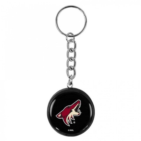 Brelok Inglasco NHL 550AN000136 Dallas Stars Brelok Inglasco NHL 550AN000136 Dallas Stars