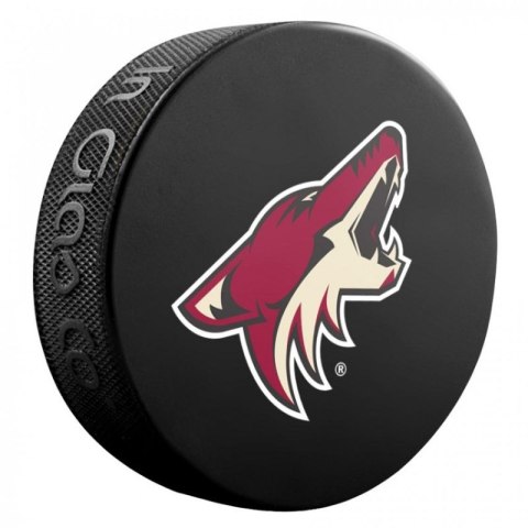 Pamiątka Krążek hokejowy Inglasco NHL Basic 510AN000400 Vancouver Canucks Pamiątka Krążek hokejowy Inglasco NHL Basic 510AN000400 Vancouver Canucks