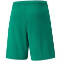 Spodenki Puma teamRISE Short M 704942 05 S Spodenki Puma teamRISE Short M 704942 05 S
