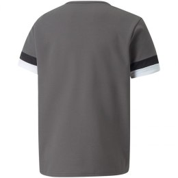 Koszulka Puma teamRise Jersey Jr 704938 13 140