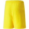 Spodenki Puma teamRise Short Jr 704943 07 164cm