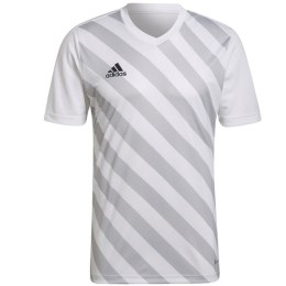 Koszulka adidas Entrada 22 Graphic Jersey M HF0129 S