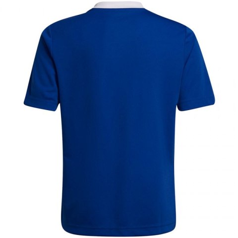 Koszulka adidas Entrada 22 Jsy Jr HG3948 128 cm Koszulka adidas Entrada 22 Jsy Jr HG3948 128 cm