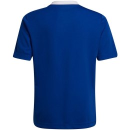 Koszulka adidas Entrada 22 Jsy Jr HG3948 140 cm