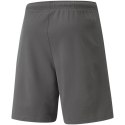 Spodenki Puma teamRise Short M 704942 13 L Spodenki Puma teamRise Short M 704942 13 L
