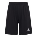 Spodenki adidas Entrada 22 Jr H57502 152