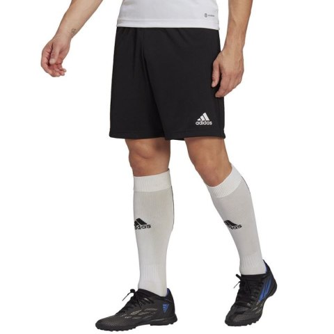 Spodenki adidas Entrada 22 Training Short M HB0575 L Spodenki adidas Entrada 22 Training Short M HB0575 L