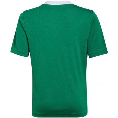 Koszulka adidas Entrada 22 Jersey Jr HI2126 152cm Koszulka adidas Entrada 22 Jersey Jr HI2126 152cm