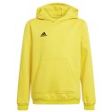 Bluza adidas Entrada 22 Hoody Y Jr HI2142 164 cm
