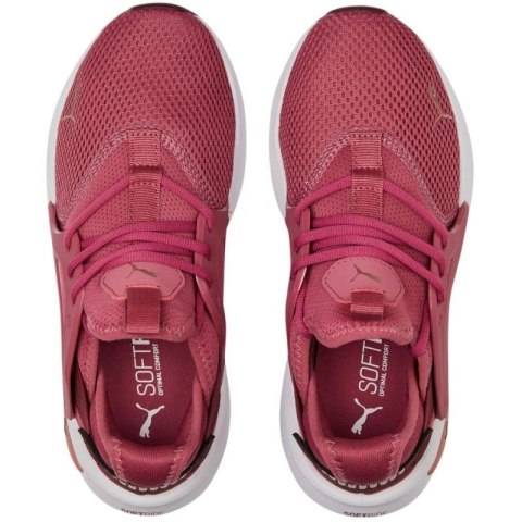 Buty Puma Softride Enzo Evo W 377048 05 37,5 Buty Puma Softride Enzo Evo W 377048 05 37,5