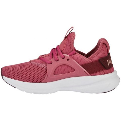 Buty Puma Softride Enzo Evo W 377048 05 37,5 Buty Puma Softride Enzo Evo W 377048 05 37,5