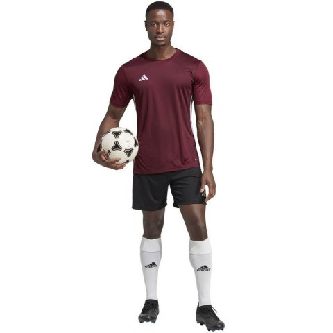 Koszulka adidas Tabela 23 Jersey M IB4928 L Koszulka adidas Tabela 23 Jersey M IB4928 L