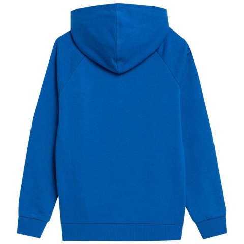 Bluza 4F Jr 4FJSS23TSWSM220 36S 128cm Bluza 4F Jr 4FJSS23TSWSM220 36S 128cm