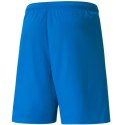 Spodenki Puma teamLIGA M 704924 02 XL Spodenki Puma teamLIGA M 704924 02 XL