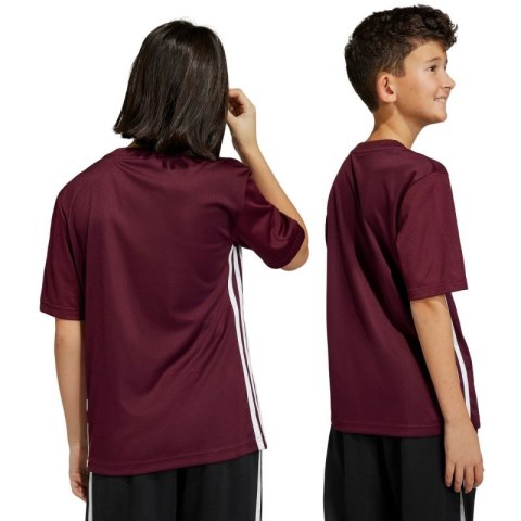 Koszulka adidas Tabela 23 Jersey Jr IB4933 128cm Koszulka adidas Tabela 23 Jersey Jr IB4933 128cm