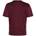 Koszulka adidas Tabela 23 Jersey Jr IB4933 164cm