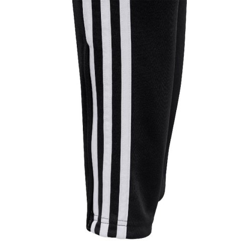 Spodnie adidas Tiro 24 Training Jr IJ7661 164cm