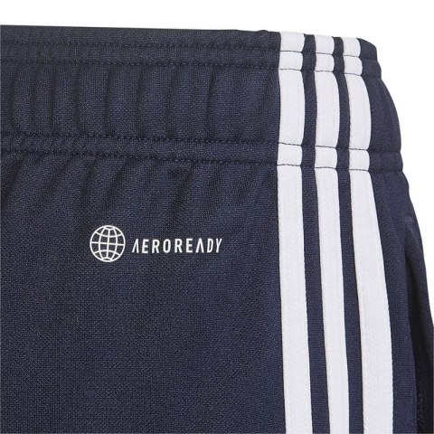 Spodenki adidas Designed 2 Move 3-Stripes Shorts Jr HN8544 152cm Spodenki adidas Designed 2 Move 3-Stripes Shorts Jr HN8544 152cm
