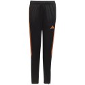 Spodnie adidas Tiro 23 Club Training Jr HZ0185 152cm