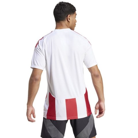 Koszulka adidas Striped 24 JSY M IW2142 M Koszulka adidas Striped 24 JSY M IW2142 M