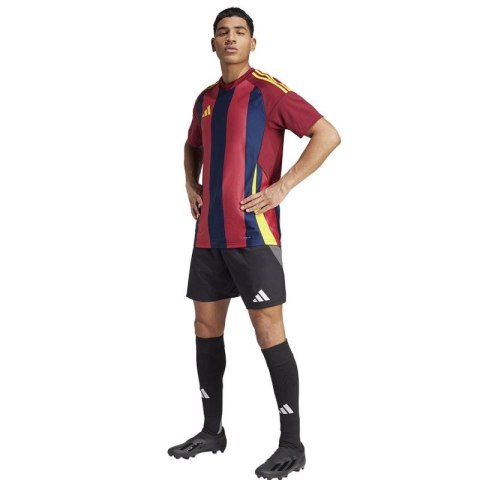 Koszulka adidas Striped 24 JSY M IW2149 M Koszulka adidas Striped 24 JSY M IW2149 M