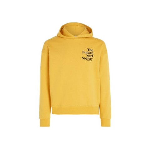 Bluza O'Neill Future Surf Society Hoodie W 92800613435 S Bluza O'Neill Future Surf Society Hoodie W 92800613435 S