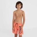 Szorty kąpielowe O'Neill Mix& Match Cali Floral 13'' Swim Shorts Jr 92800613859 152