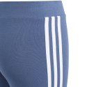 Legginsy adidas Essentials 3-Stripes Cotton Tights Jr IS2633 164cm