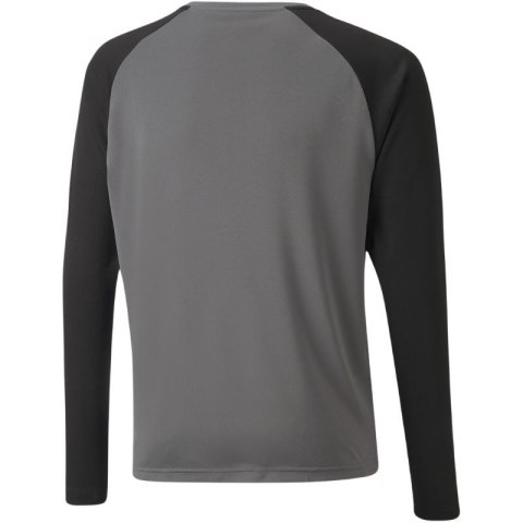 Bluza bramkarska Puma teamPacer GK LS Jersey Jr 704939 43 140cm Bluza bramkarska Puma teamPacer GK LS Jersey Jr 704939 43 140cm