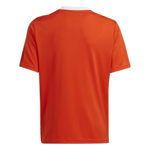 Koszulka adidas Team Icon 23 Jr IC1254 176 Koszulka adidas Team Icon 23 Jr IC1254 176