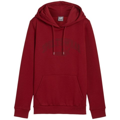 Bluza Puma Ess+ Logo LAB Hoodie FL W 682987 13 L Bluza Puma Ess+ Logo LAB Hoodie FL W 682987 13 L