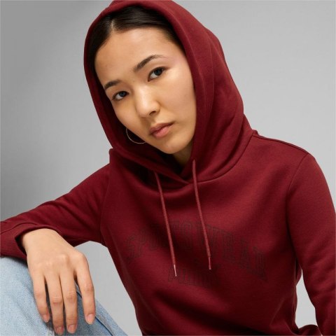 Bluza Puma Ess+ Logo LAB Hoodie FL W 682987 13 L Bluza Puma Ess+ Logo LAB Hoodie FL W 682987 13 L