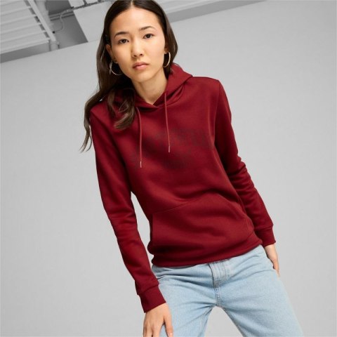 Bluza Puma Ess+ Logo LAB Hoodie FL W 682987 13 M Bluza Puma Ess+ Logo LAB Hoodie FL W 682987 13 M