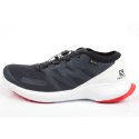 Buty Salomon Sense Flow M 409672 GTX 47