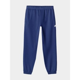 Spodnie dresowe 4F M 4FWAW24TTROM1277-31S XL