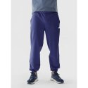 Spodnie dresowe 4F M 4FWAW24TTROM1277-31S XL