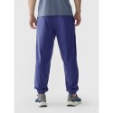 Spodnie dresowe 4F M 4FWAW24TTROM1277-31S XL