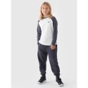 Spodnie dresowe 4F Jr 4FJWMM00TTROM0811-25S 146